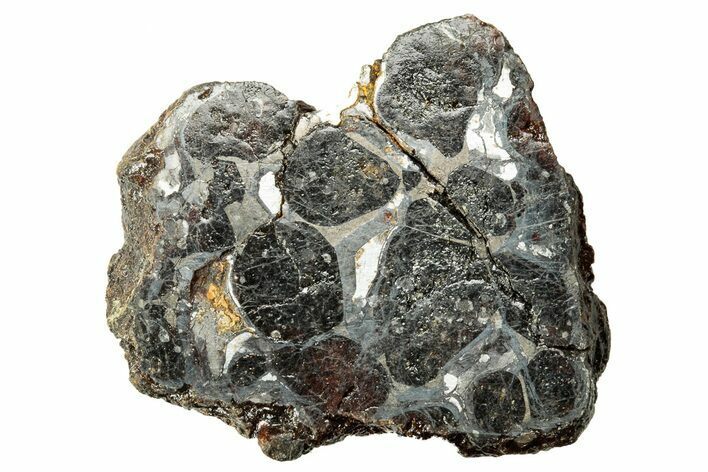 Polished Sericho Pallasite Meteorite ( g) - Kenya #242960